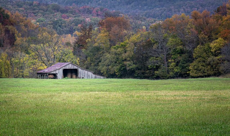 Buffalo River Lowlands Supporting Generations Of Farming