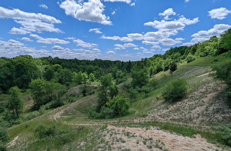 A Forested Retreat On The Ridge