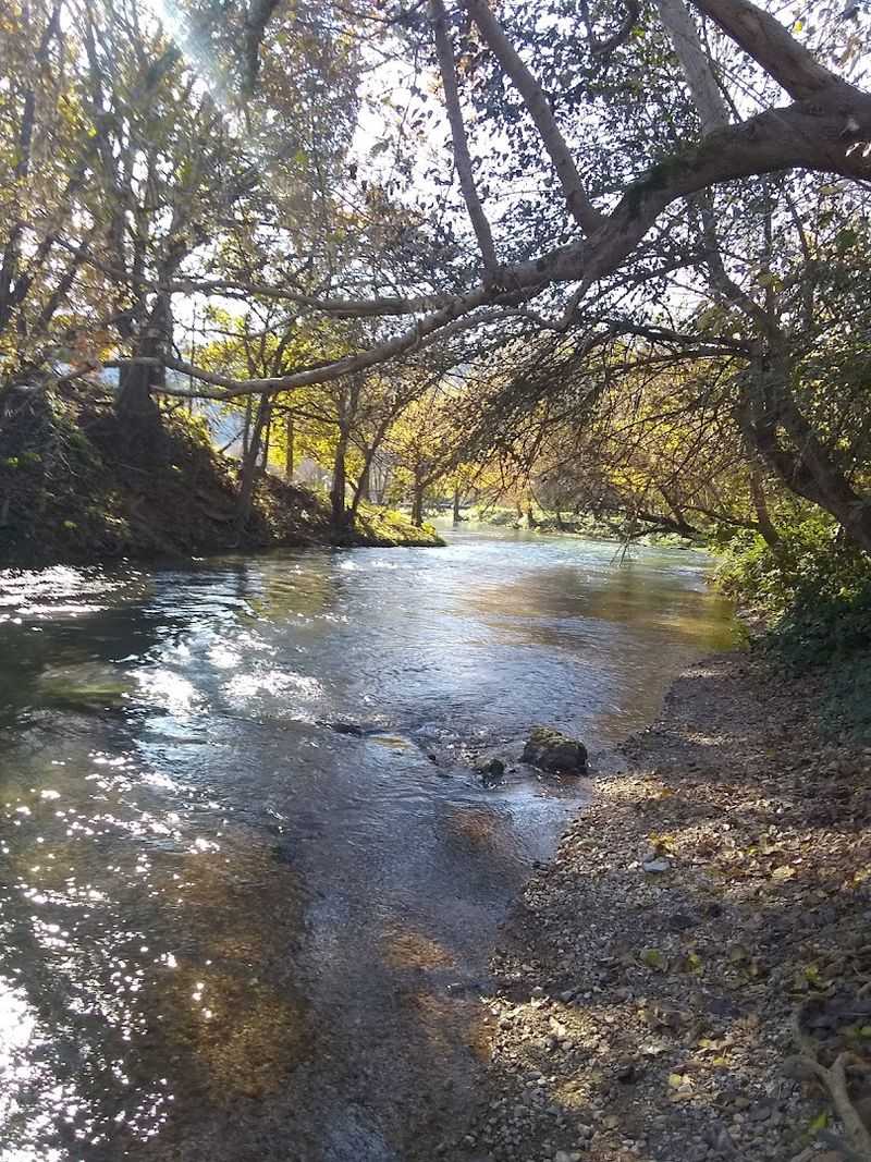 Subtle Current Seams Holding Feeding Fish