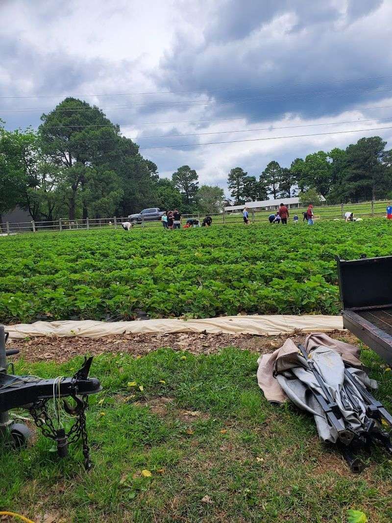 Weather And Crop Cycles Determine Field Availability