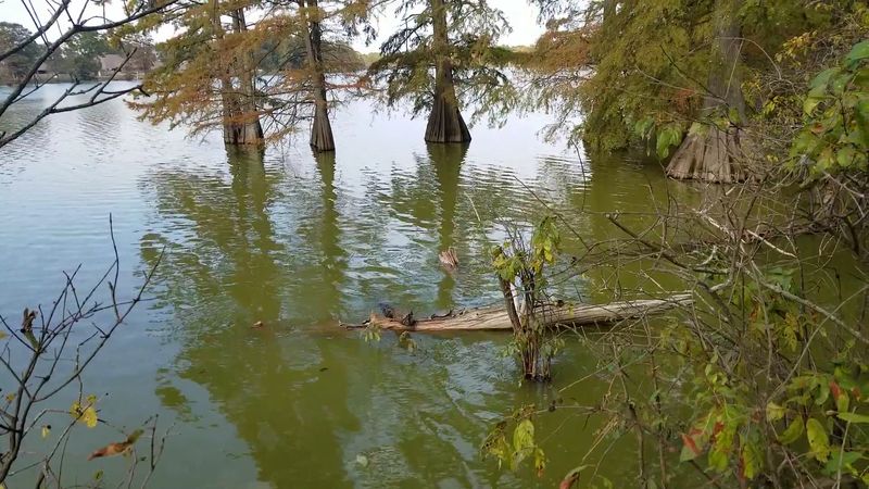 What Lingers Beneath The Grass And Still Water