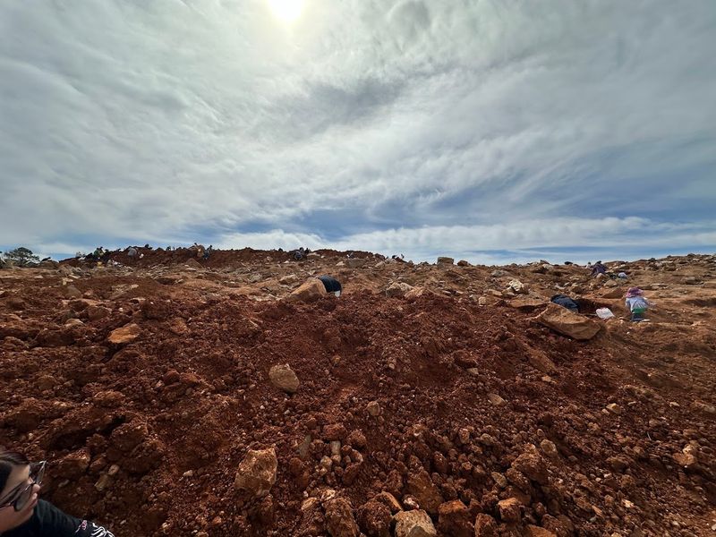 Earthy Views Across The Mine