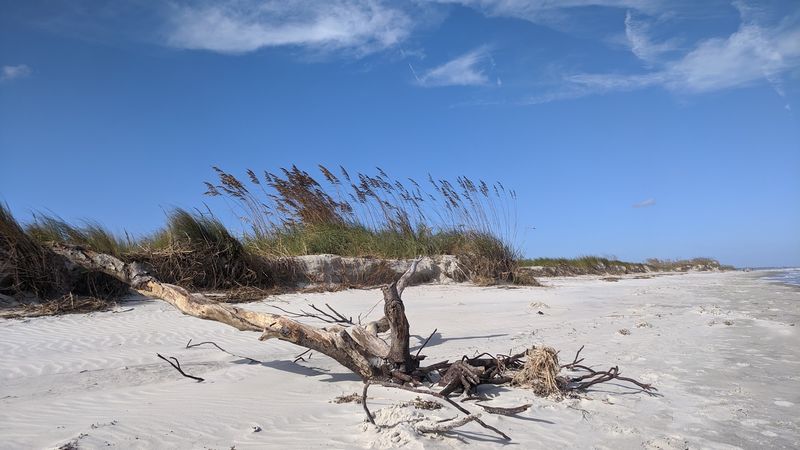 East Beach