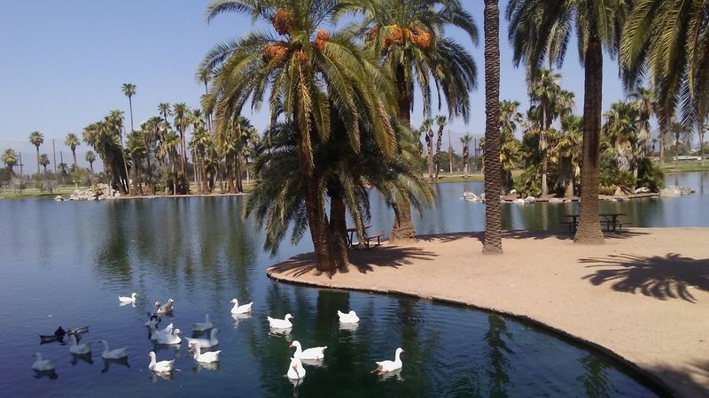 Free Easter Egg Hunt At Enchanted Island