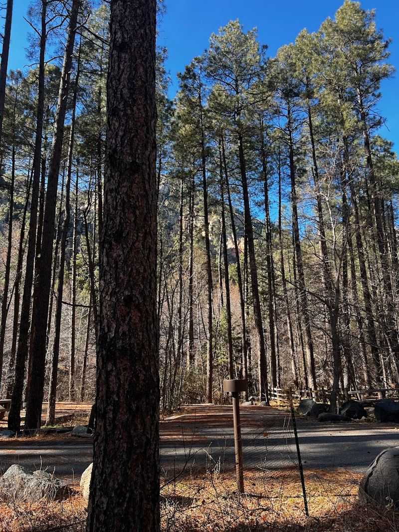 Celebration Of Spring In Sedona