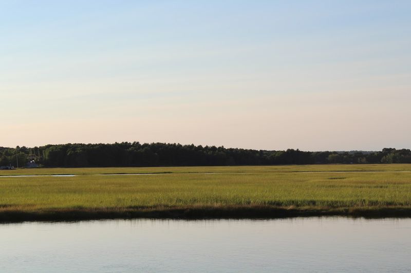 Eastern Trail At Scarborough Marsh, Scarborough