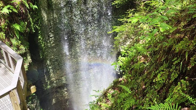 Picnic Areas That Turn A Lunch Break Into A Real Experience