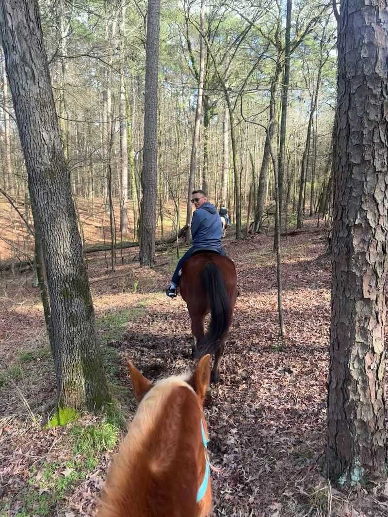 Proximity To State Park Landscapes And Natural Lake Views