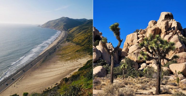 Easy Hikes In California This April That Make You Feel On Top Of The World