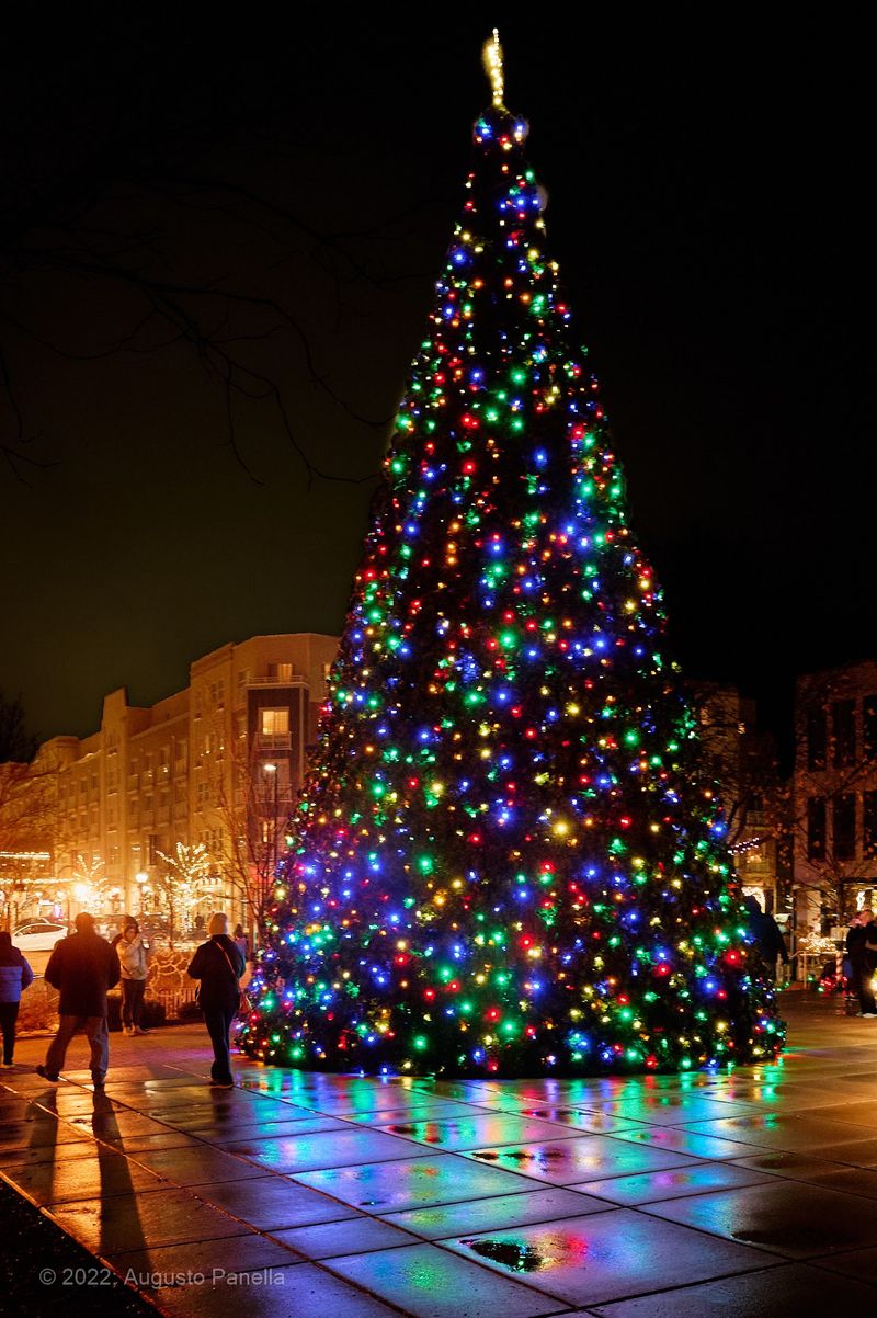 Easy Planning For A Free Family Night