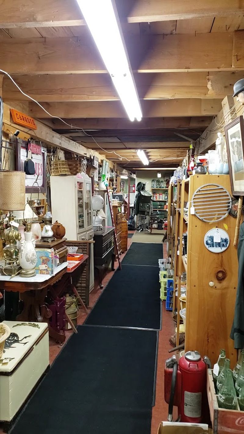 Something New Every Visit