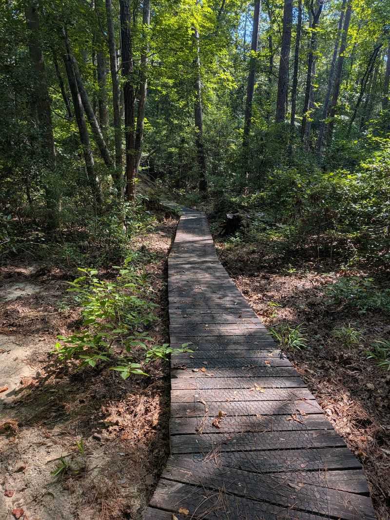 Easy Trails For A Gentle Walk