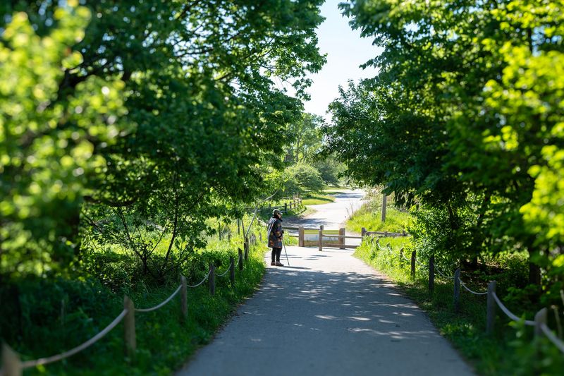 Easy Trails For Strollers, Wheelchairs, And Wanderers