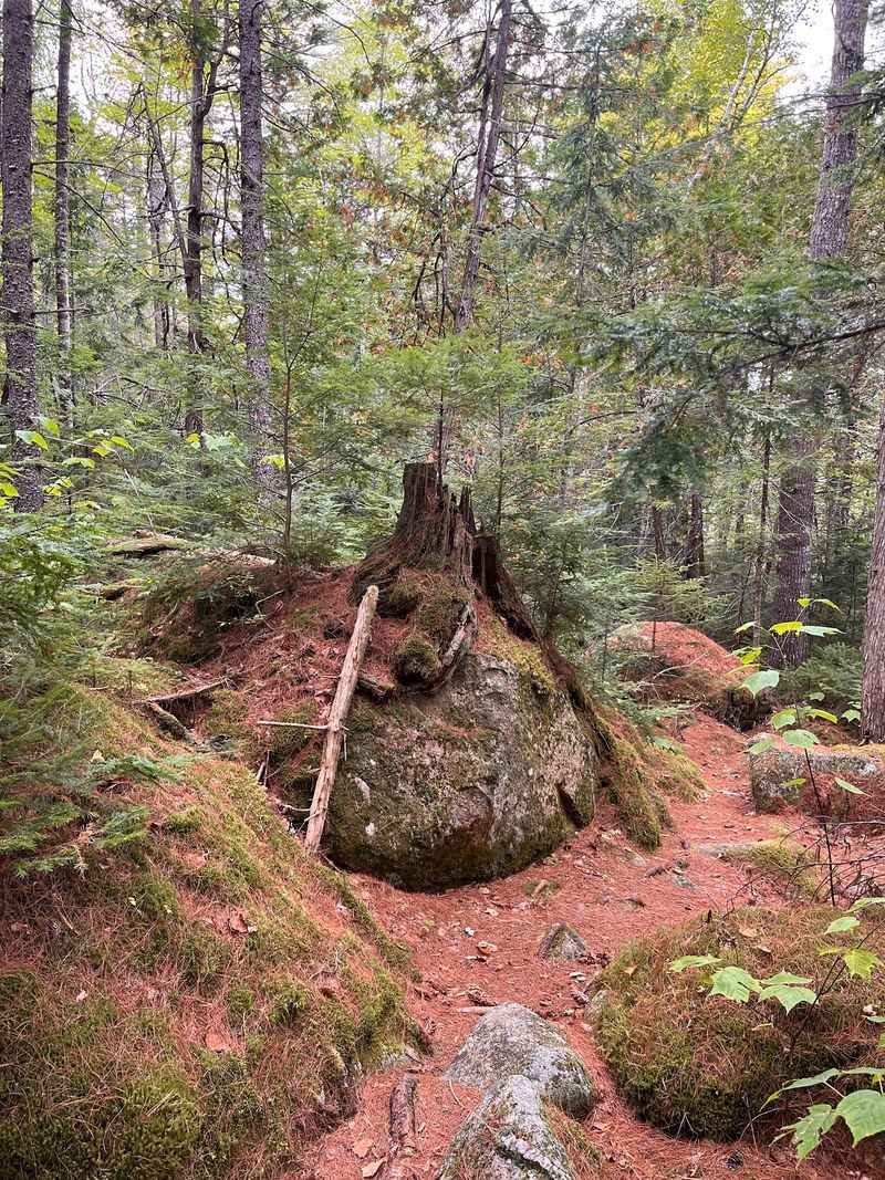 Easygoing Hiking Trails For Every Level