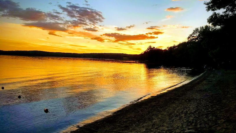 Easygoing Lake Swimming