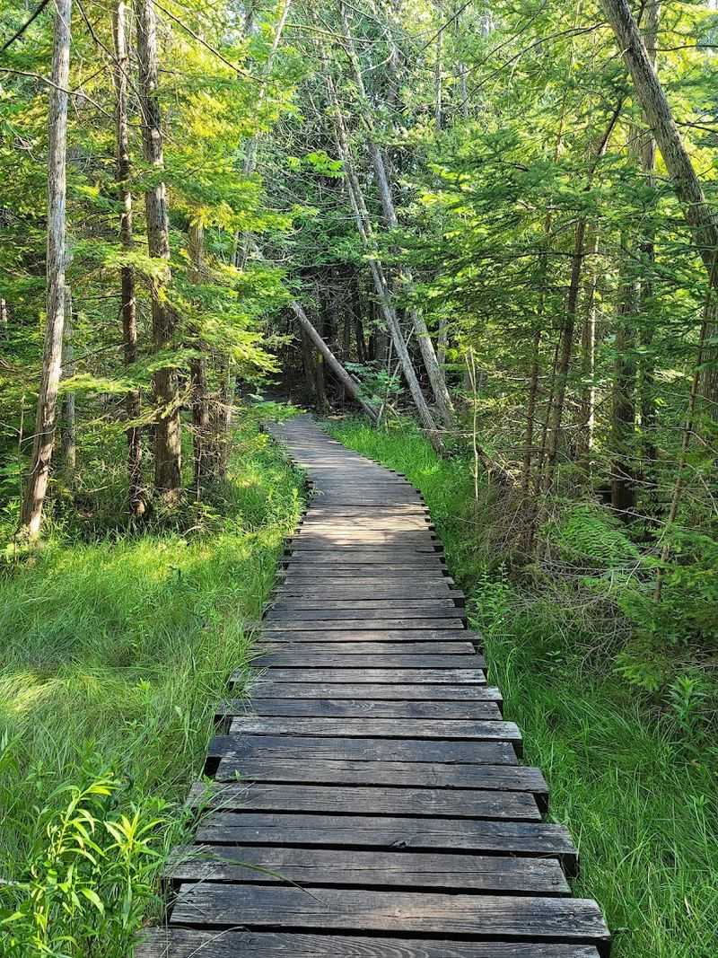 Camping And Nature Without The Hefty Price Tag