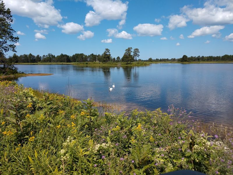 Seney National Wildlife Refuge