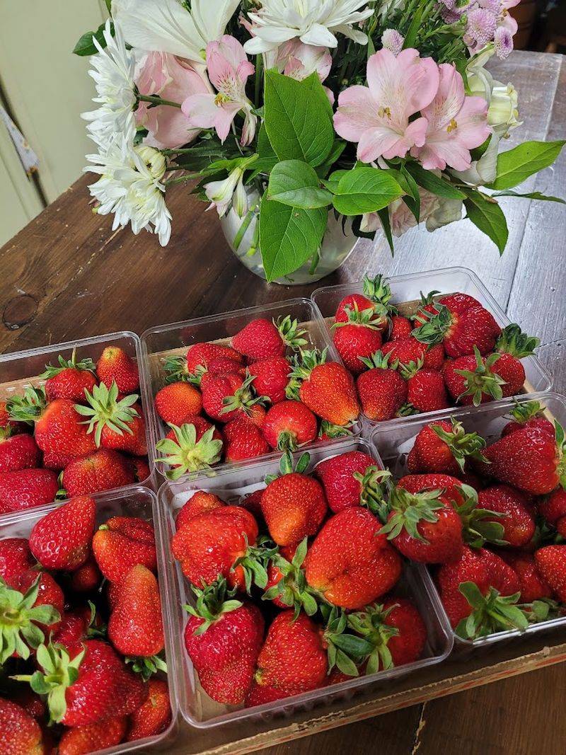 Flamm Orchards Fruits & Cream — Cobden