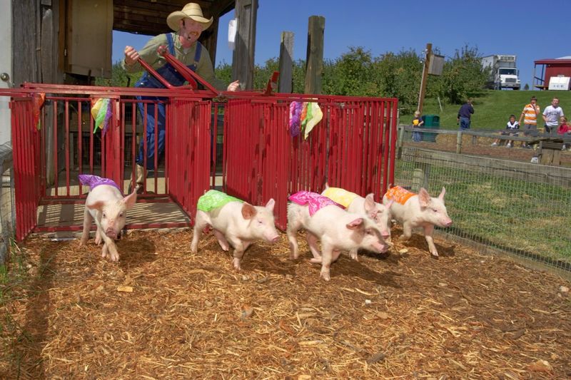 Eckert’s Millstadt Fun Farm