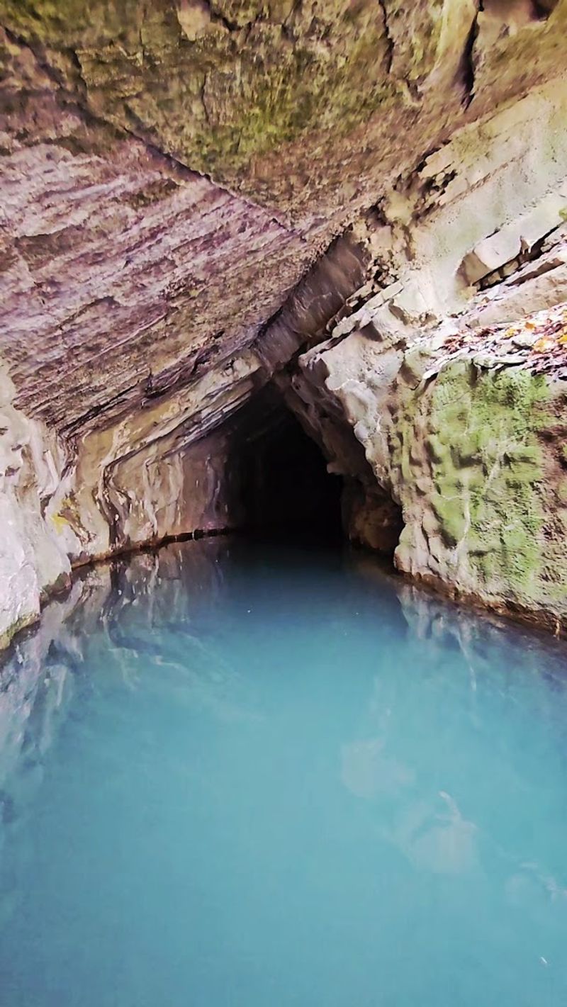 Penn's Cave and Wildlife Park, Centre Hall, Pennsylvania