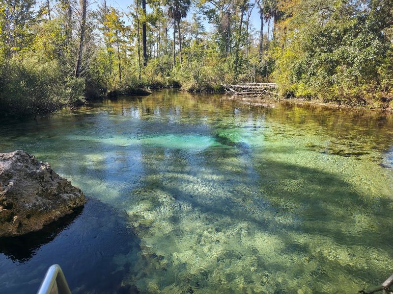 Econfina Creek, Youngstown