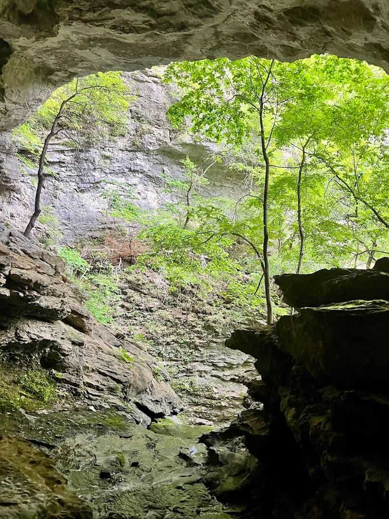 Eden Falls Cave