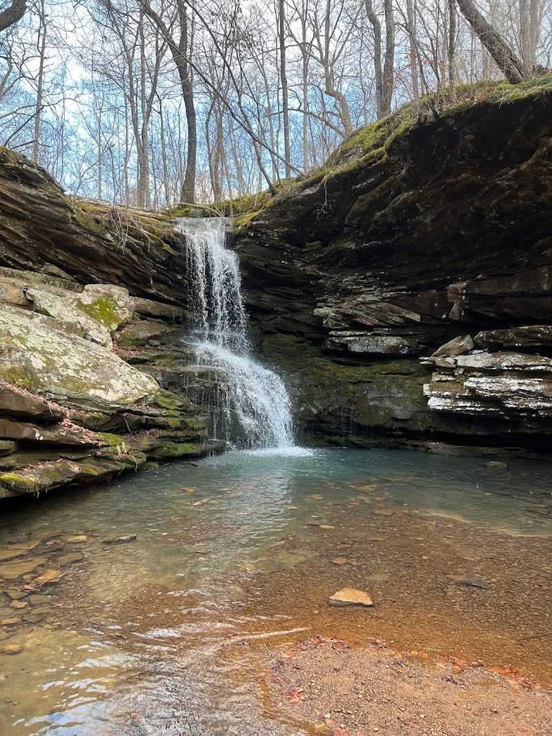 Eden Falls, Ponca