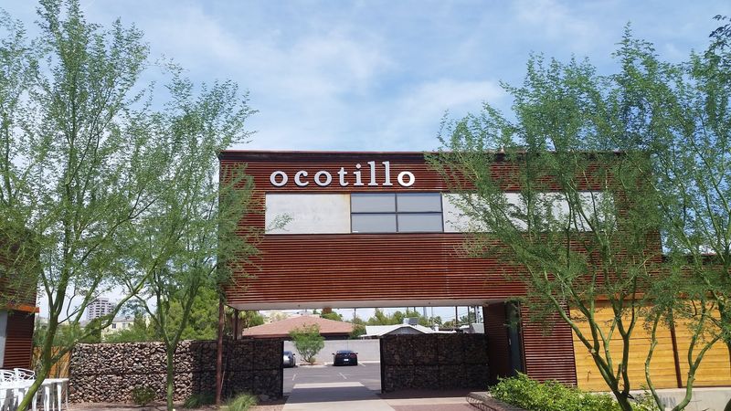 Edison Bulbs, Palo Verde Trees, And After-Dark Magic