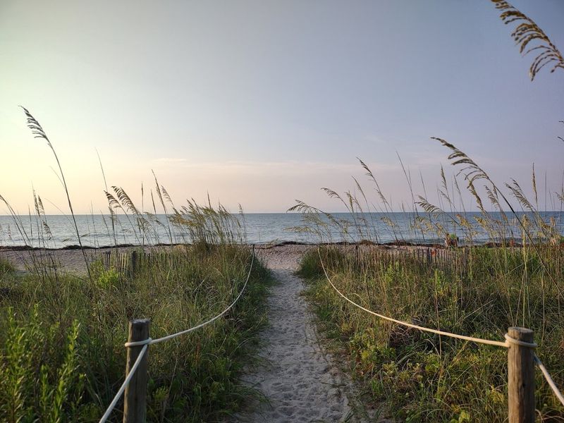Edisto Beach State Park Campground, Edisto Island Edisto Beach State Park Campground, Edisto Island
