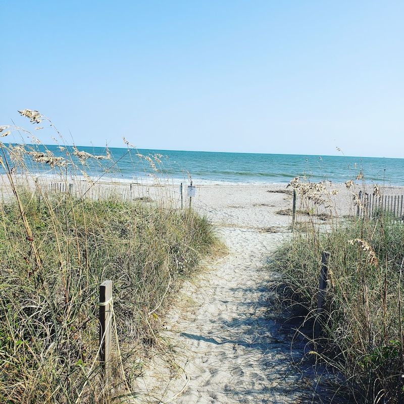 Edisto Beach State Park, Edisto Island