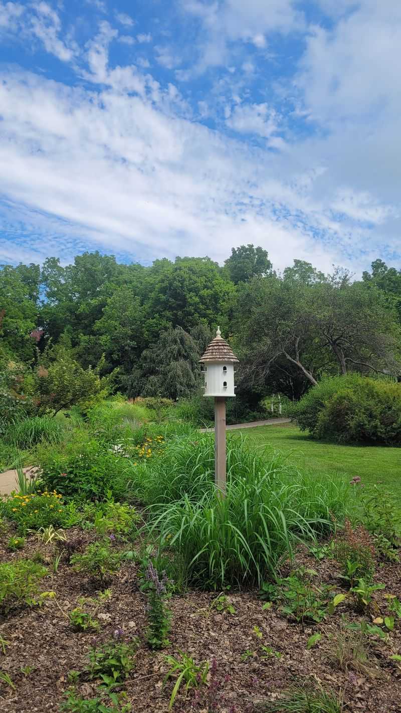 Birding Corners And Quiet Benches