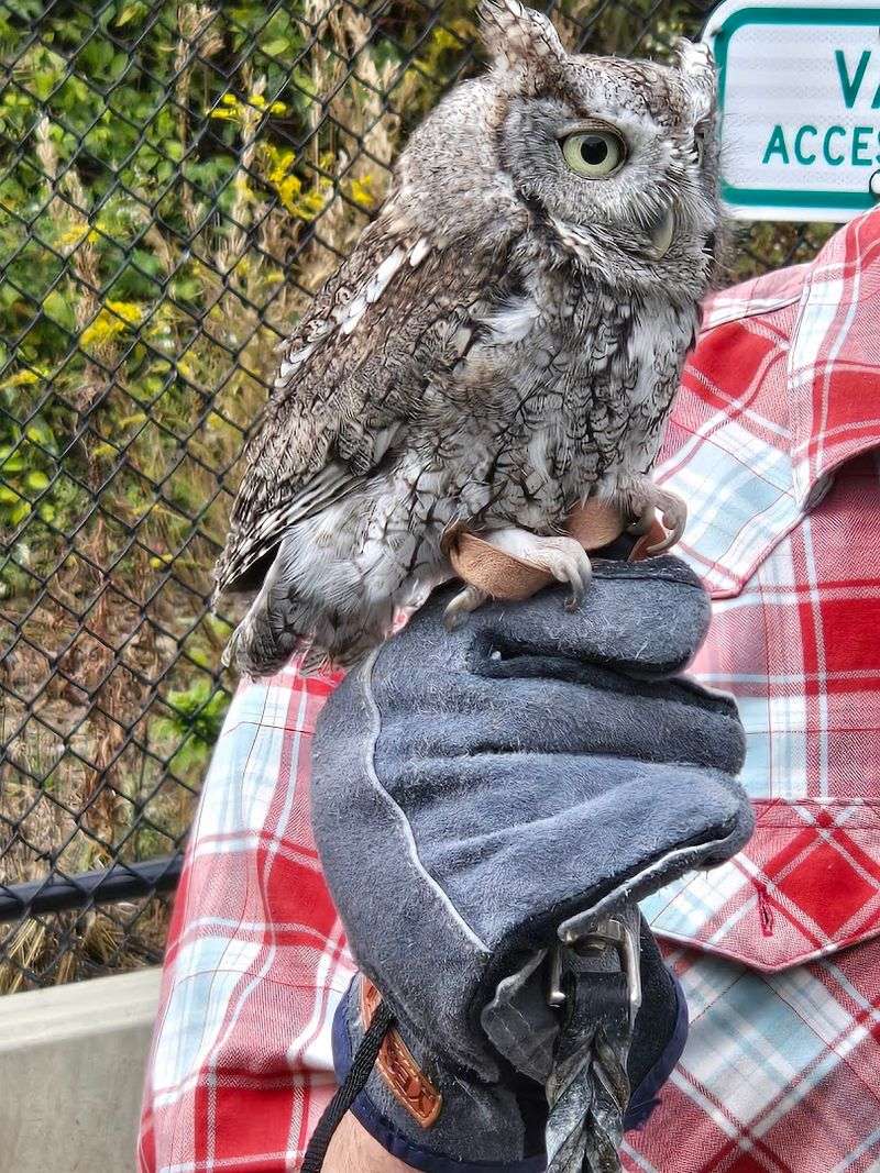 Open Seven Days A Week For Animal Drop-Offs