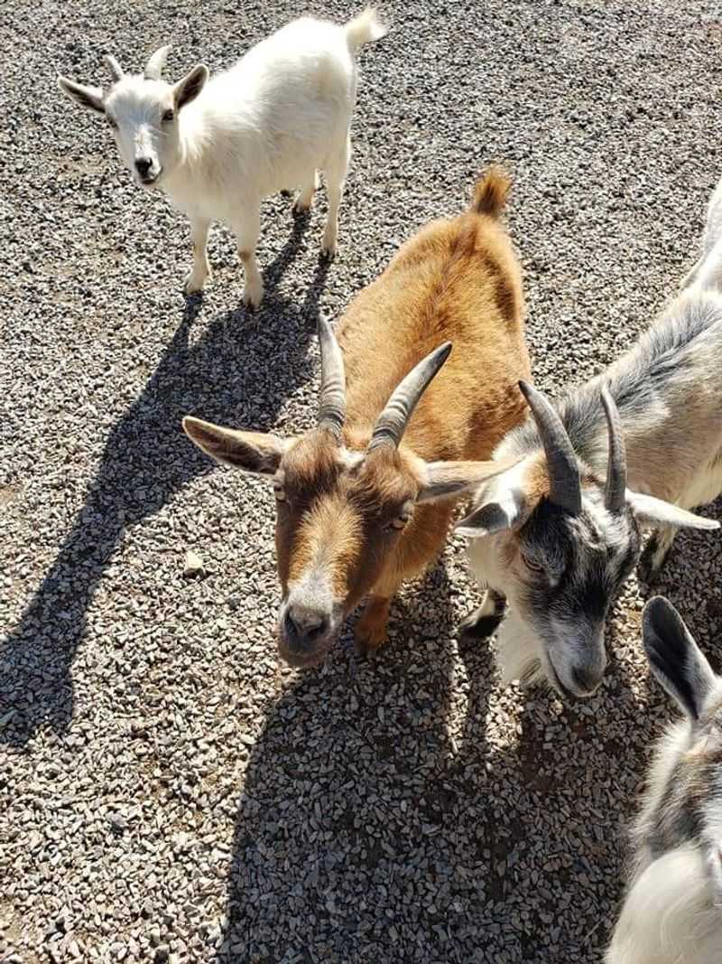 Unexpected Mix Of Thrill And Tenderness