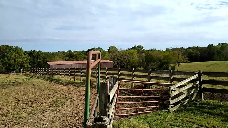 Photo Opportunities To Capture Riding Memories