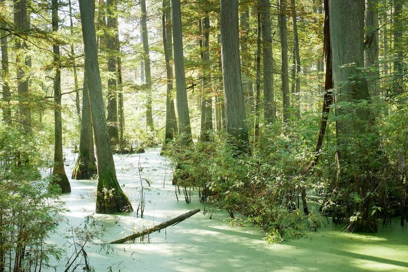 The Unexpected Solitude