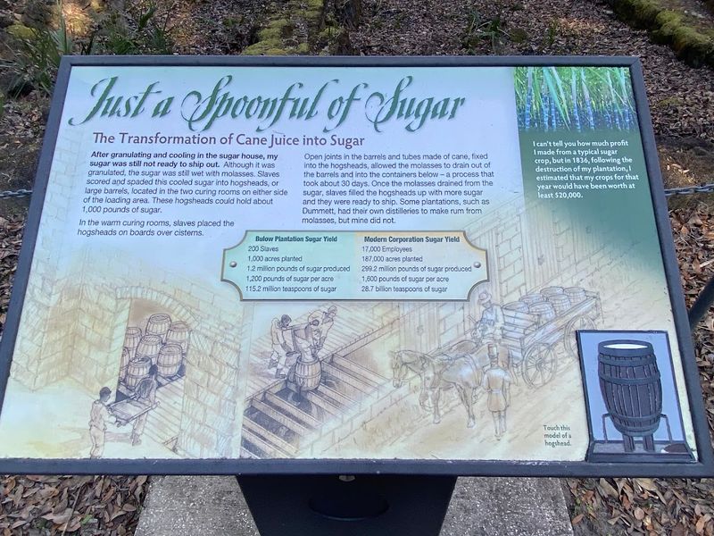 Second Seminole War Historical Context