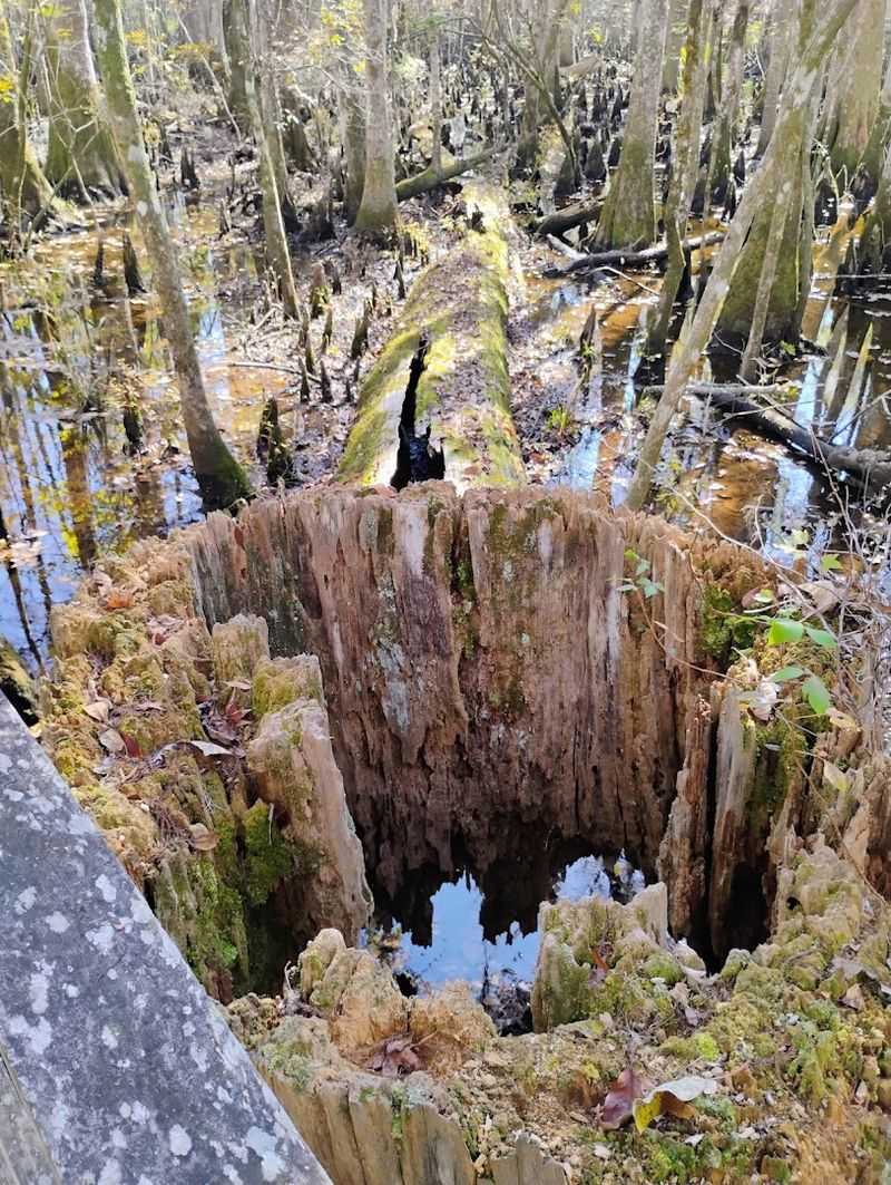 Photography Paradise Awaits Patient Shooters