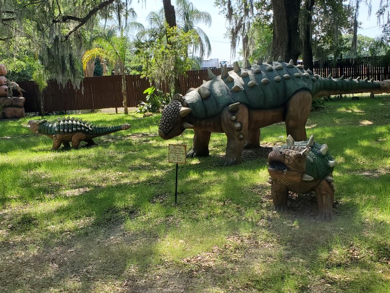 Picnic Areas And Observation Decks