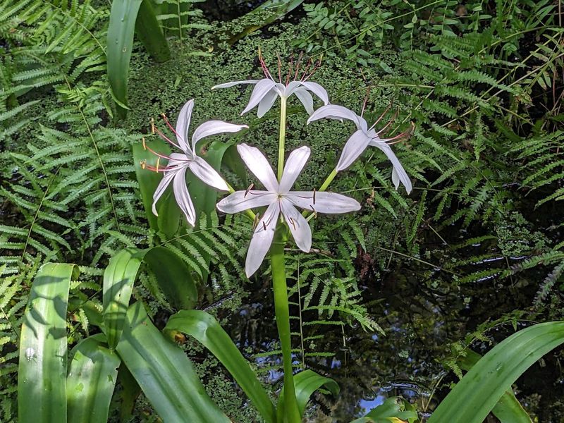 Perfect Length For Leisurely Exploration