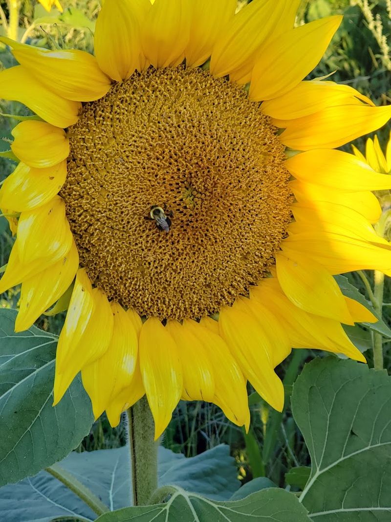 Seasonal Activities Make Every Visit Unique