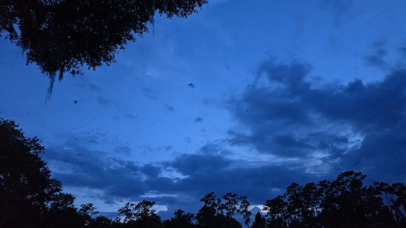 A Free Activity That Delivers Premium Experiences