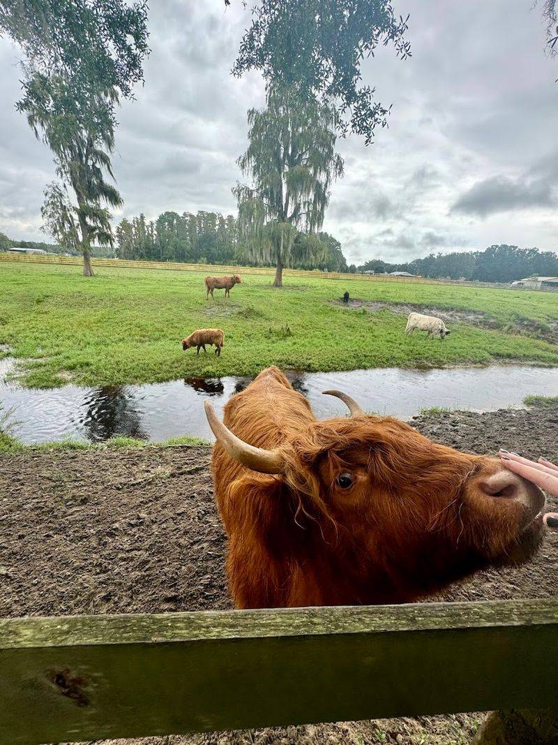 A Venue That Transforms Into A Wedding Dream