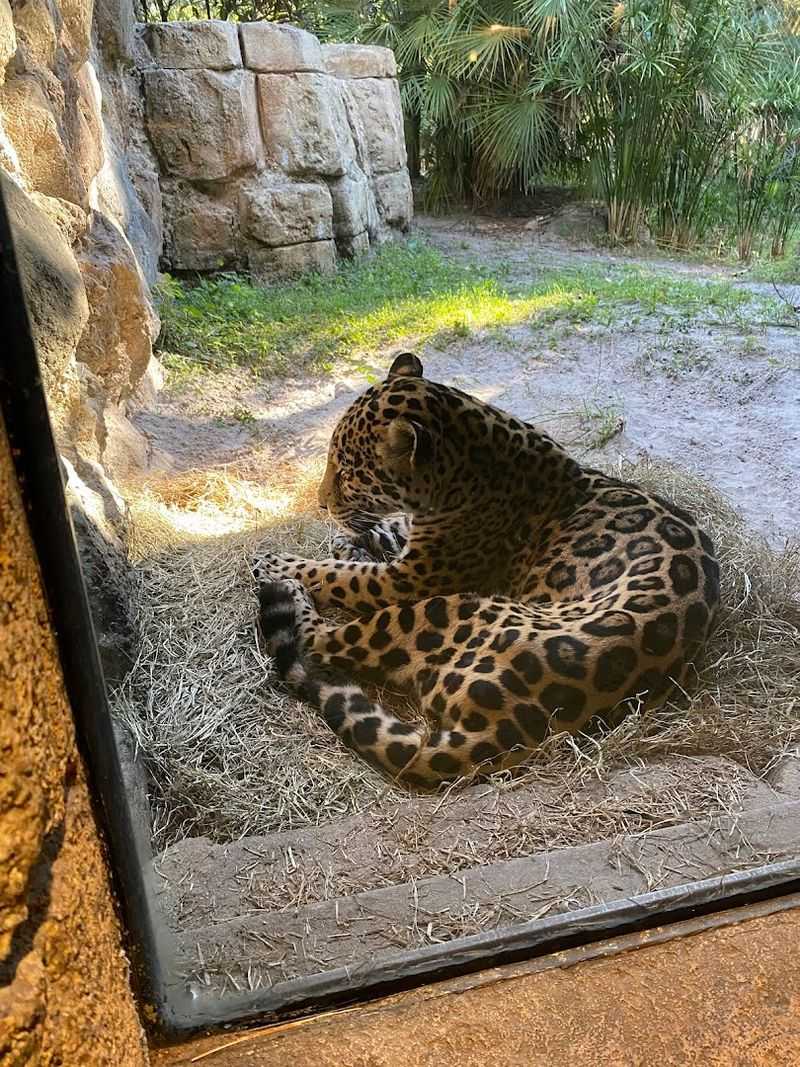 Partnership With State Wildlife Agencies