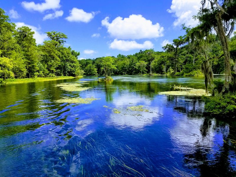 Edward Ball Wakulla Springs State Park, Wakulla Springs