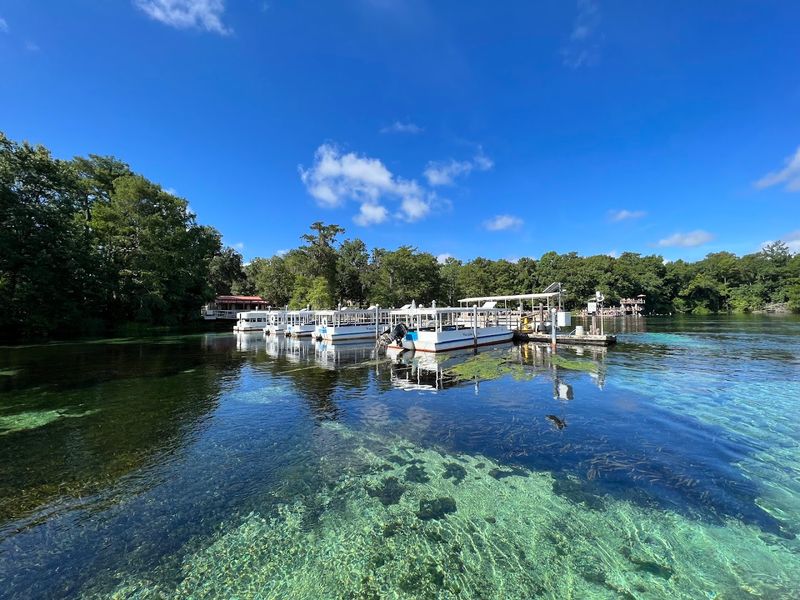 Edward Ball Wakulla Springs State Park, Wakulla Springs