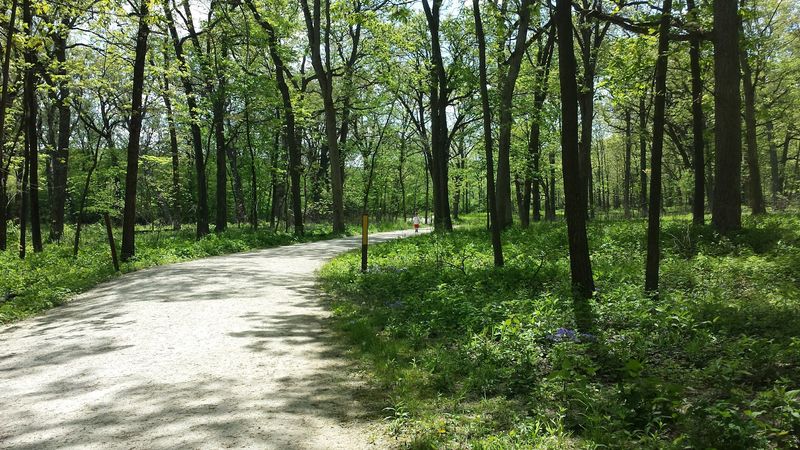 Greene Valley Forest Preserve, Naperville, Illinois