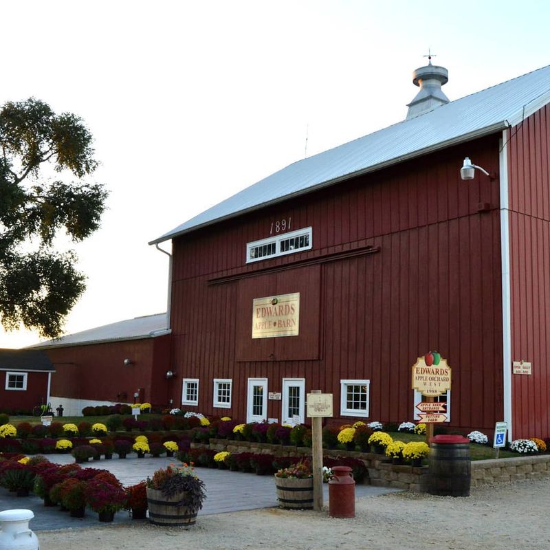 Edwards Apple Orchard West (Winnebago) Edwards Apple Orchard West (Winnebago)
