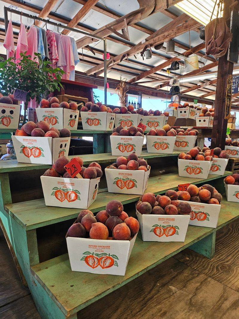 Efurd Orchards