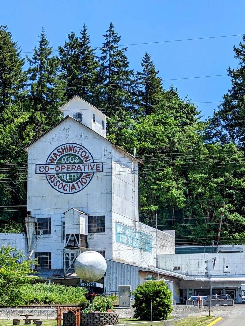 Egg Days, The Festival That Runs On Egg Salad