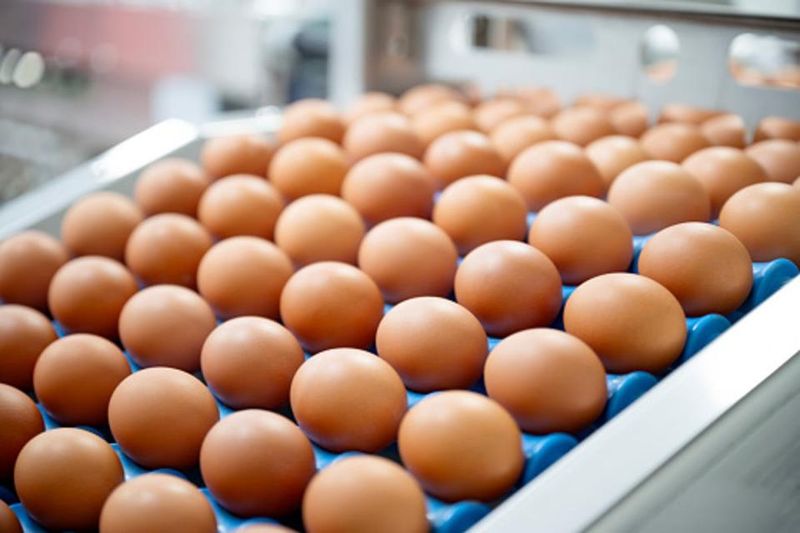 Organic Valley Free-Range Eggs
